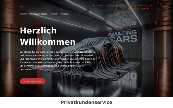 amazingcars.de