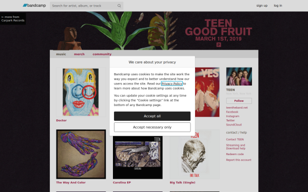 teentheband.bandcamp.com