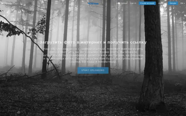 ltdfoto.ru
