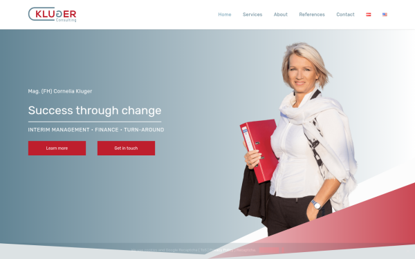 kluger-consulting.at