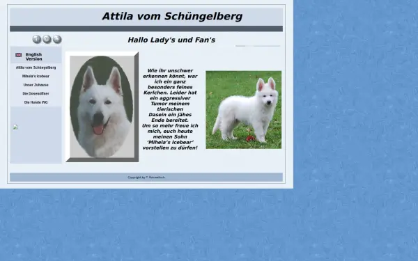 attila-vom-schuengelberg.de