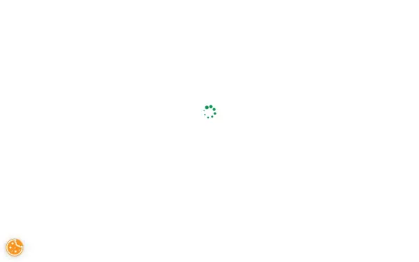 adolphi-stiftung.de