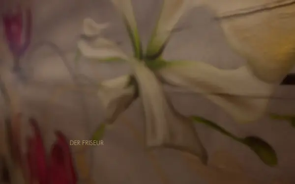 derfriseur-christianwippel.de