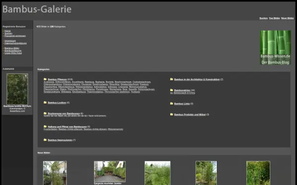 www.bambus-galerie.de
