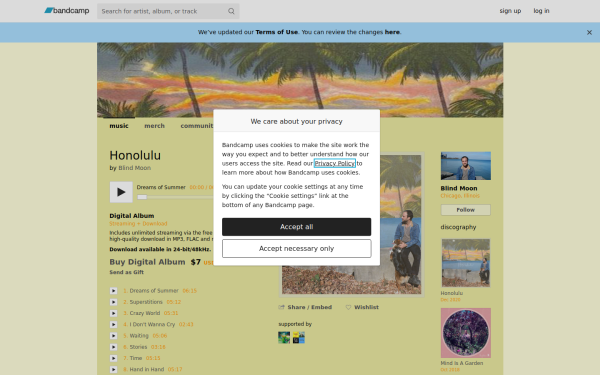 blindmoon.bandcamp.com