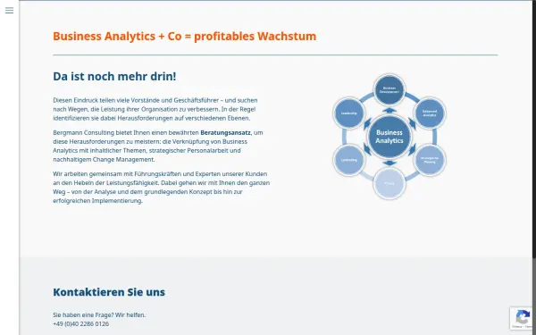www.bergmann-consulting.com