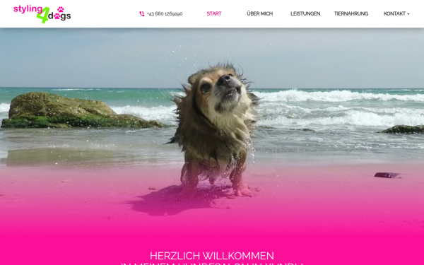 www.styling4dogs.at