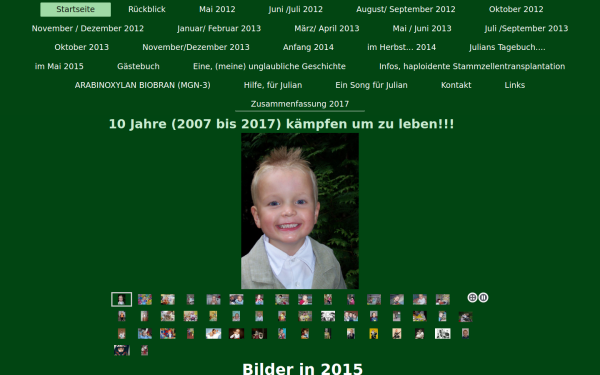 www.tapferer-ritter-julian.de
