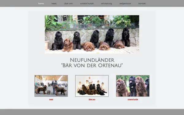 www.baervonderortenau.de