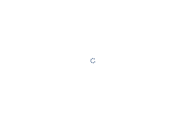 drolshagens.de