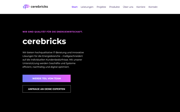 cerebricks.com