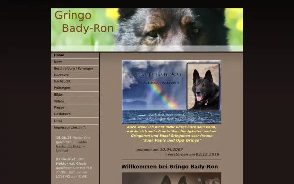www.gringo-bady-ron.de