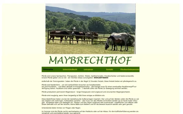ausbildungfuerreiterundpferd.de