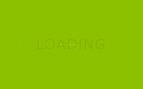 www.vst-schmidt.de