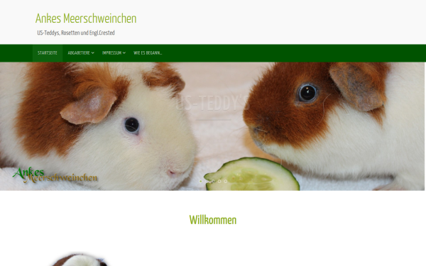 www.ankesmeerschweinchen.de