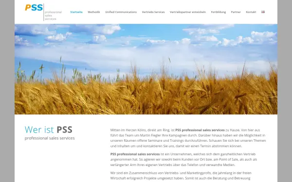 pss-sales.de