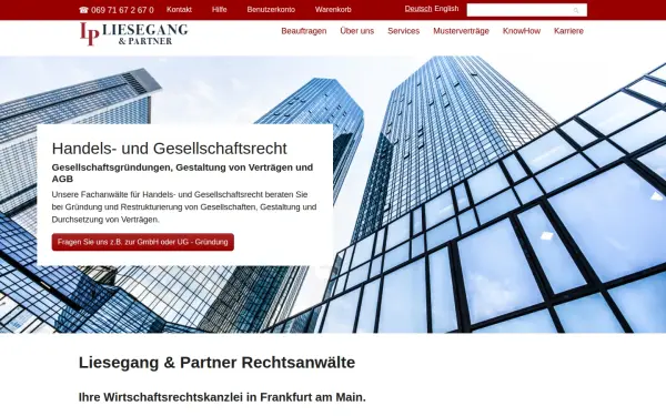 www.liesegang-partner.de