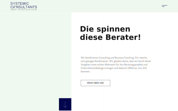systemic-consultants.de