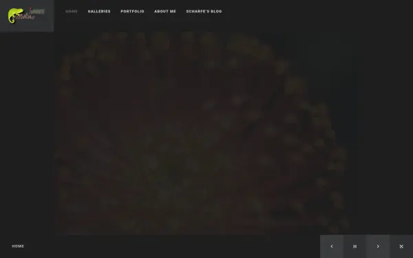 www.dreamtime-images.de