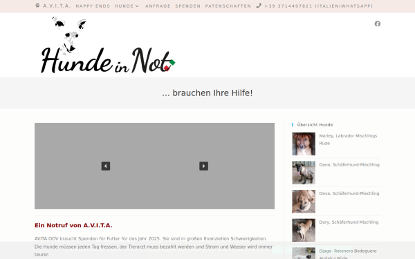 not-hunde.de
