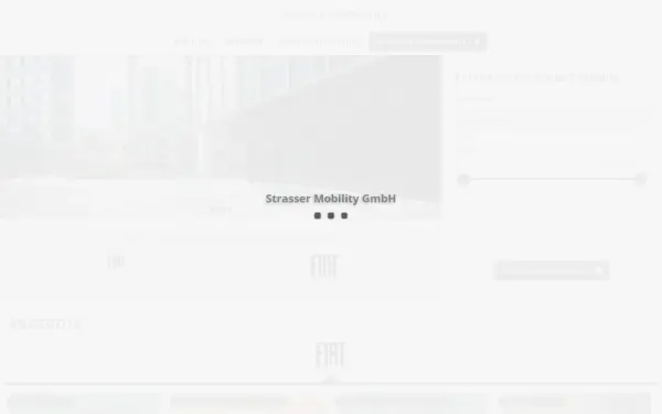 www.ah-strasser.de