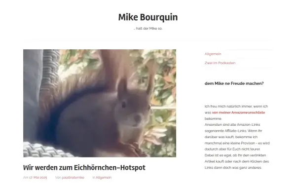 mikebourquin.de