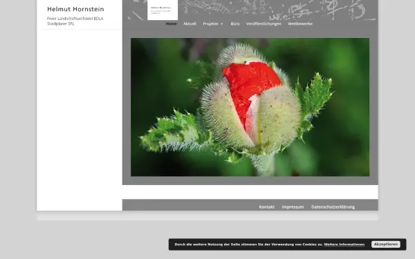 helmuthornstein.de