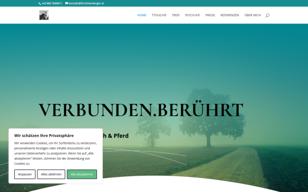 www.lisi-hinterberger.at