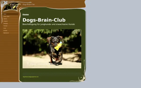 dogsbrainclub.de