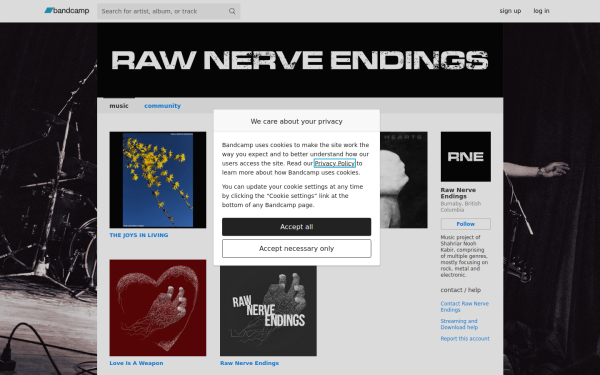 rawnerveendings.bandcamp.com