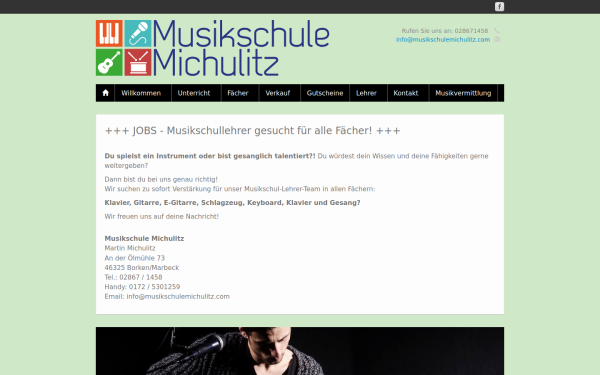 musikschulemichulitz.com