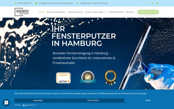 borowski-fensterreinigung.de