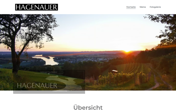 hagenauer-wein.at