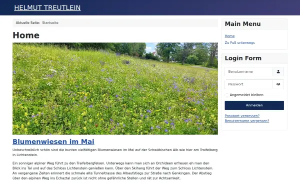 helmuttreutlein.de