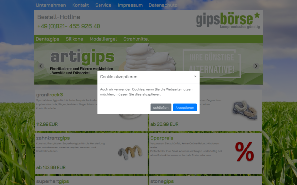 gipsboerse.de