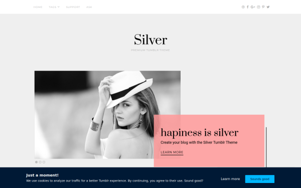 silver.themelantic.com