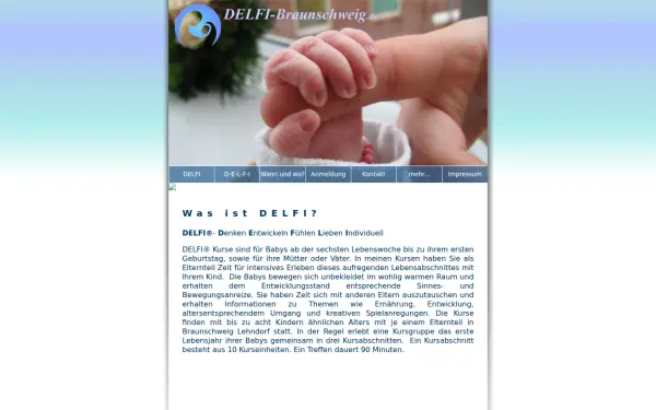 delfi-braunschweig.de