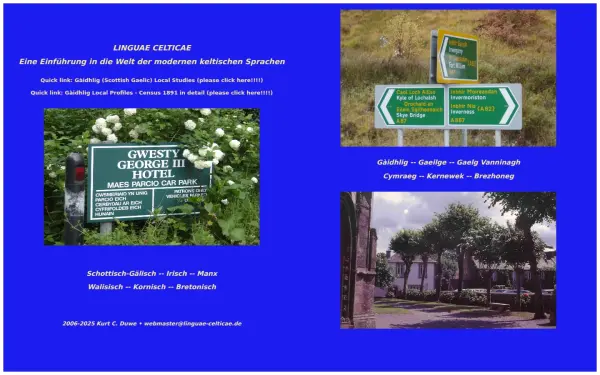 linguae-celticae.de