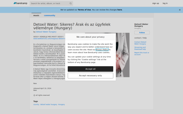 detoxil-water-hungary.bandcamp.com