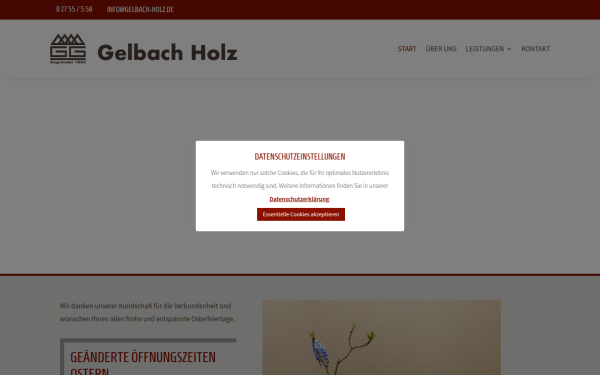 gelbach-holz.de
