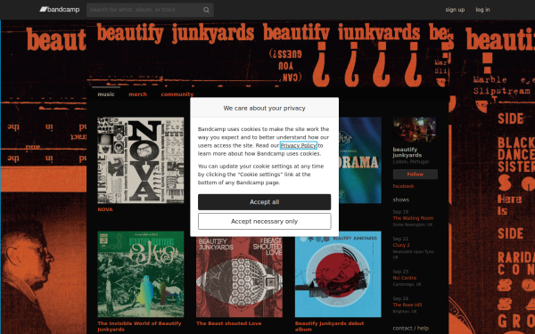 beautifyjunkyards.bandcamp.com