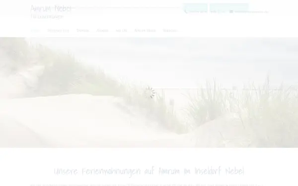 www.amrum-nebel.de