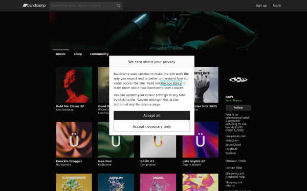 rawppl.bandcamp.com