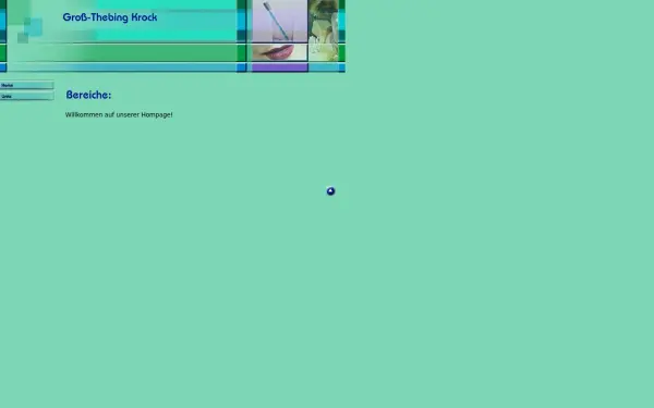 gross-thebing.de
