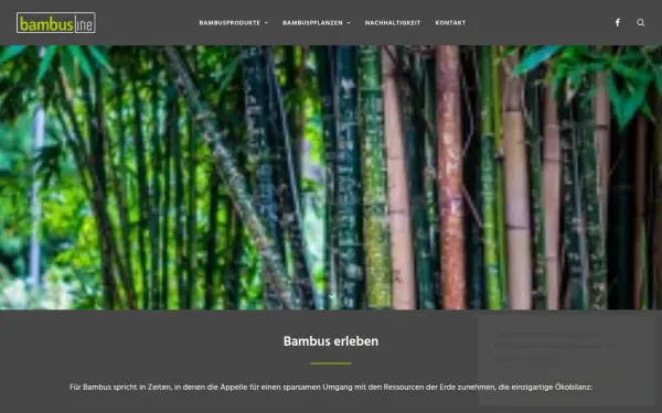 www.bambusline.de