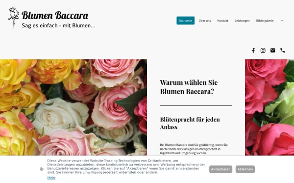 blumen-baccara.de