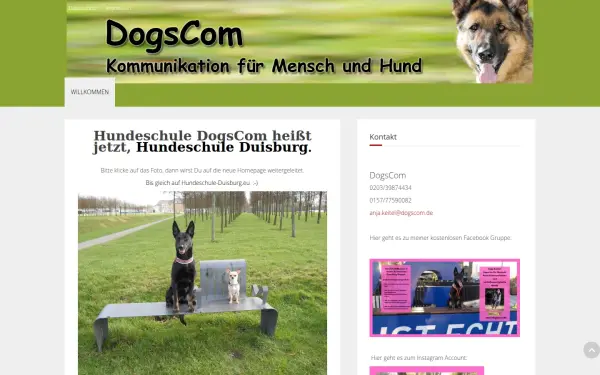 www.dogscom.de