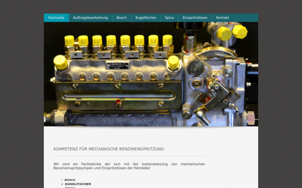www.einspritzpumpen-service.de