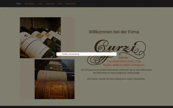 curzi-gmbh.de