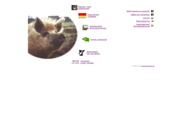 mangalitza.de